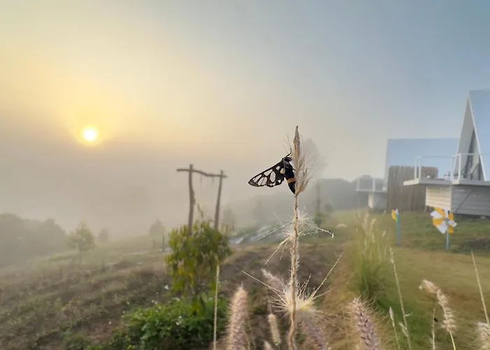 สวนผักฮิมดอยโฮมสเตย์ Pakhimdoi Farm Homestay