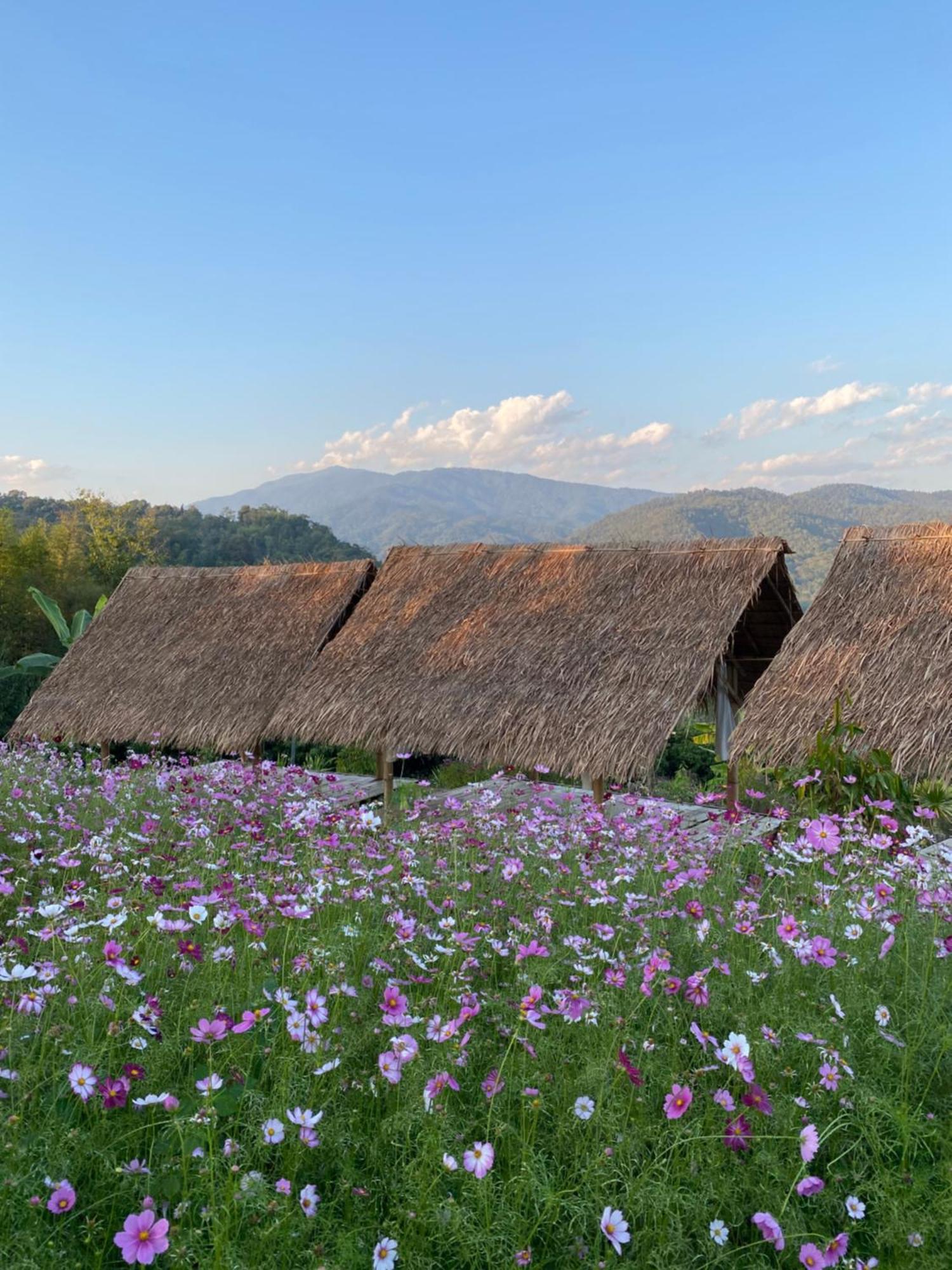 สวนผักฮิมดอยโฮมสเตย์ Pakhimdoi Farm *