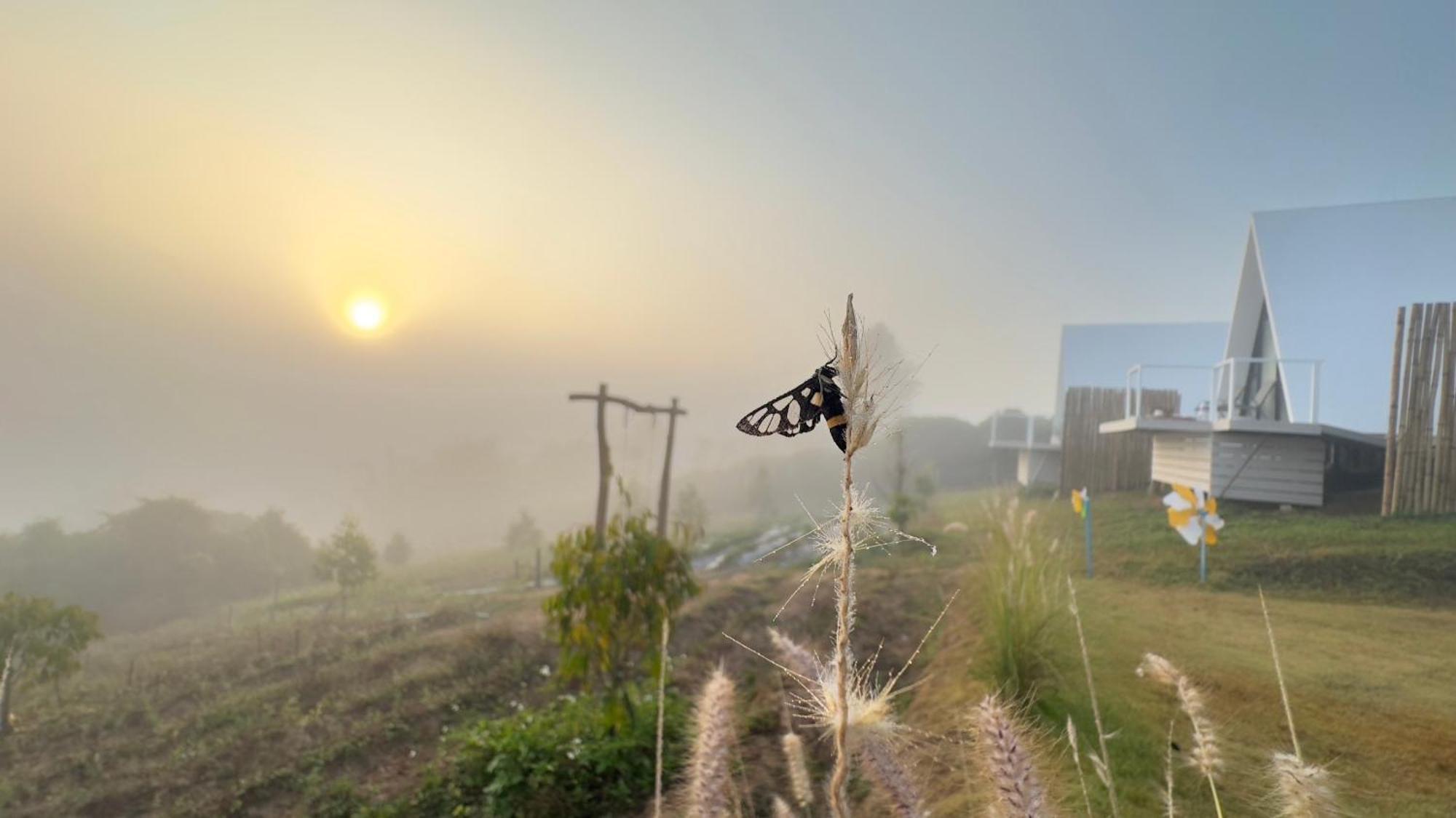 สวนผักฮิมดอยโฮมสเตย์ Pakhimdoi Farm Ban Wiang Kok